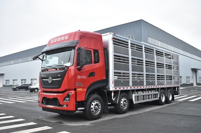 31Ton Dongfeng Livestock Transport Vehicle