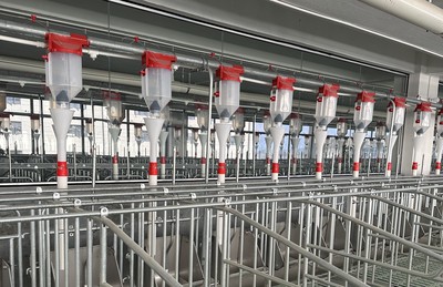 Discharge Feeder,Automated Feeding Systems 