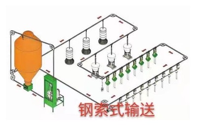 Professional Livestock Farm Solutions design and build turnkey pig and poultry farms, equipped with full-scale automation systems