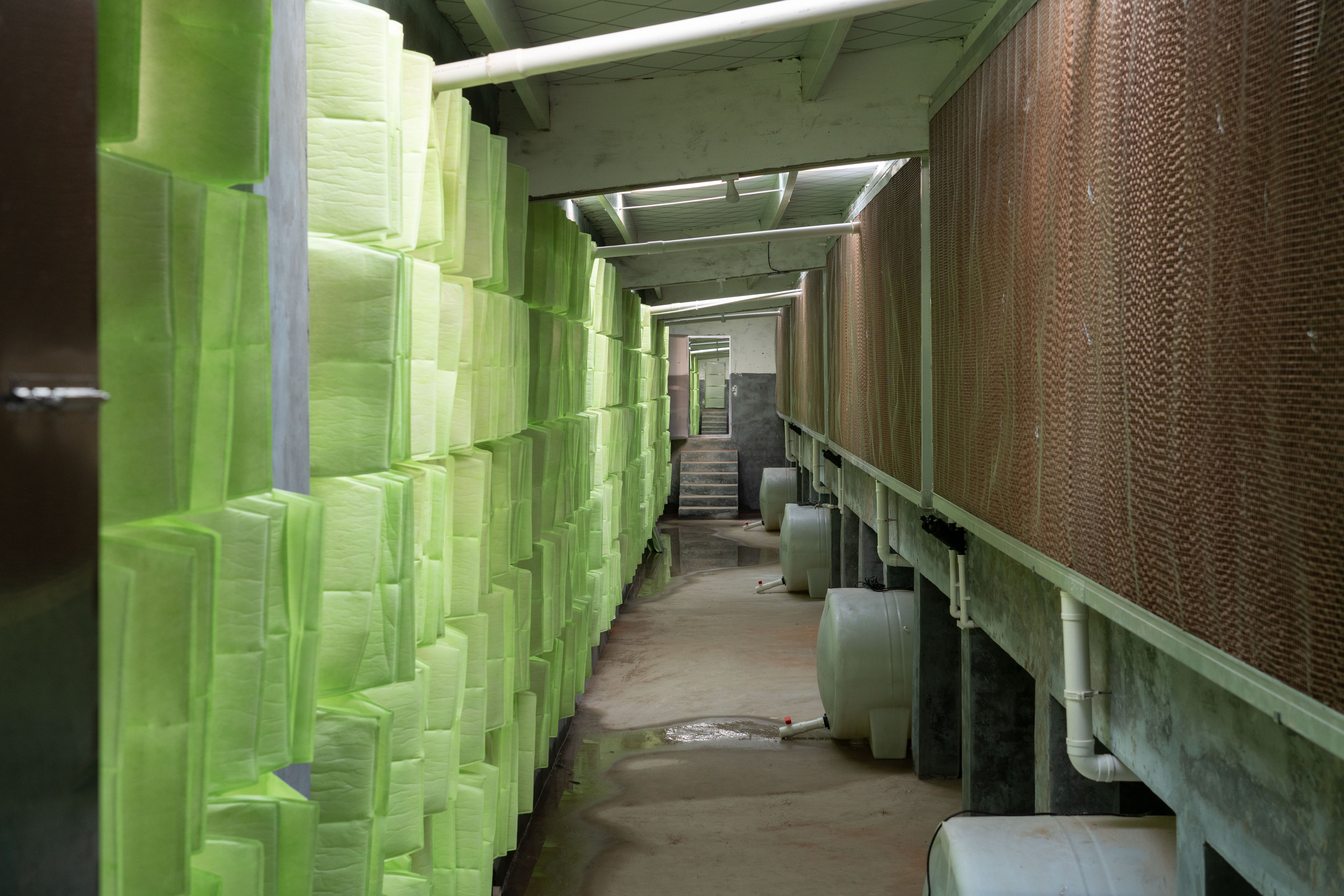 25d96729537865705e509bfcdeea6370